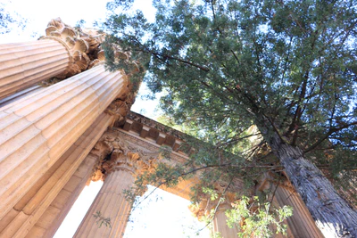 san francisco palace of fine arts 015 — Скачать