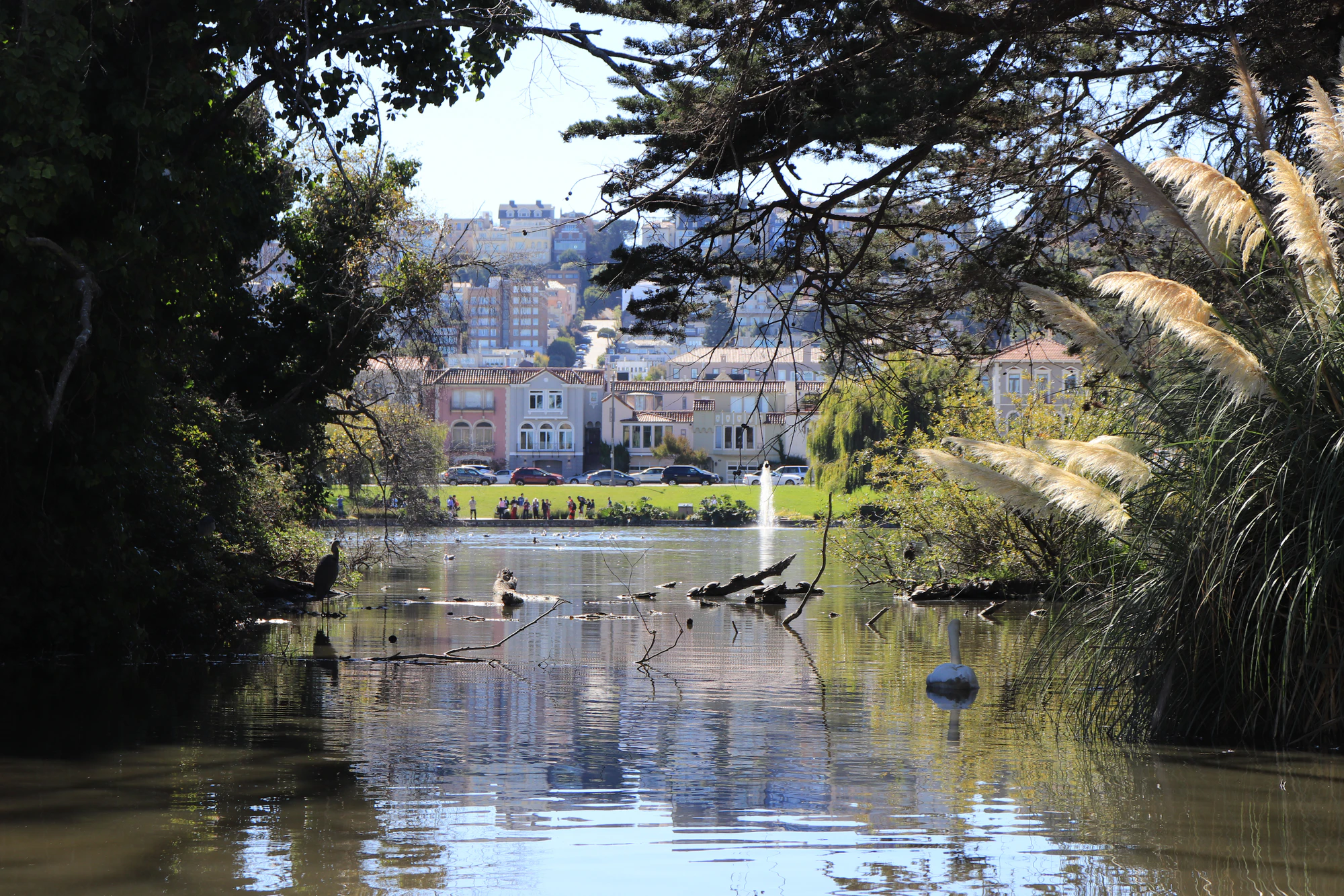 san francisco palace of fine arts 031 — Descargar