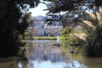 san francisco palace of fine arts 031 — Descargar