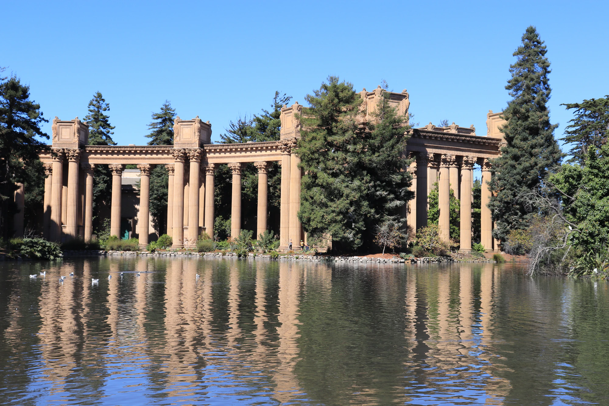 san francisco palace of fine arts 036 — Descargar