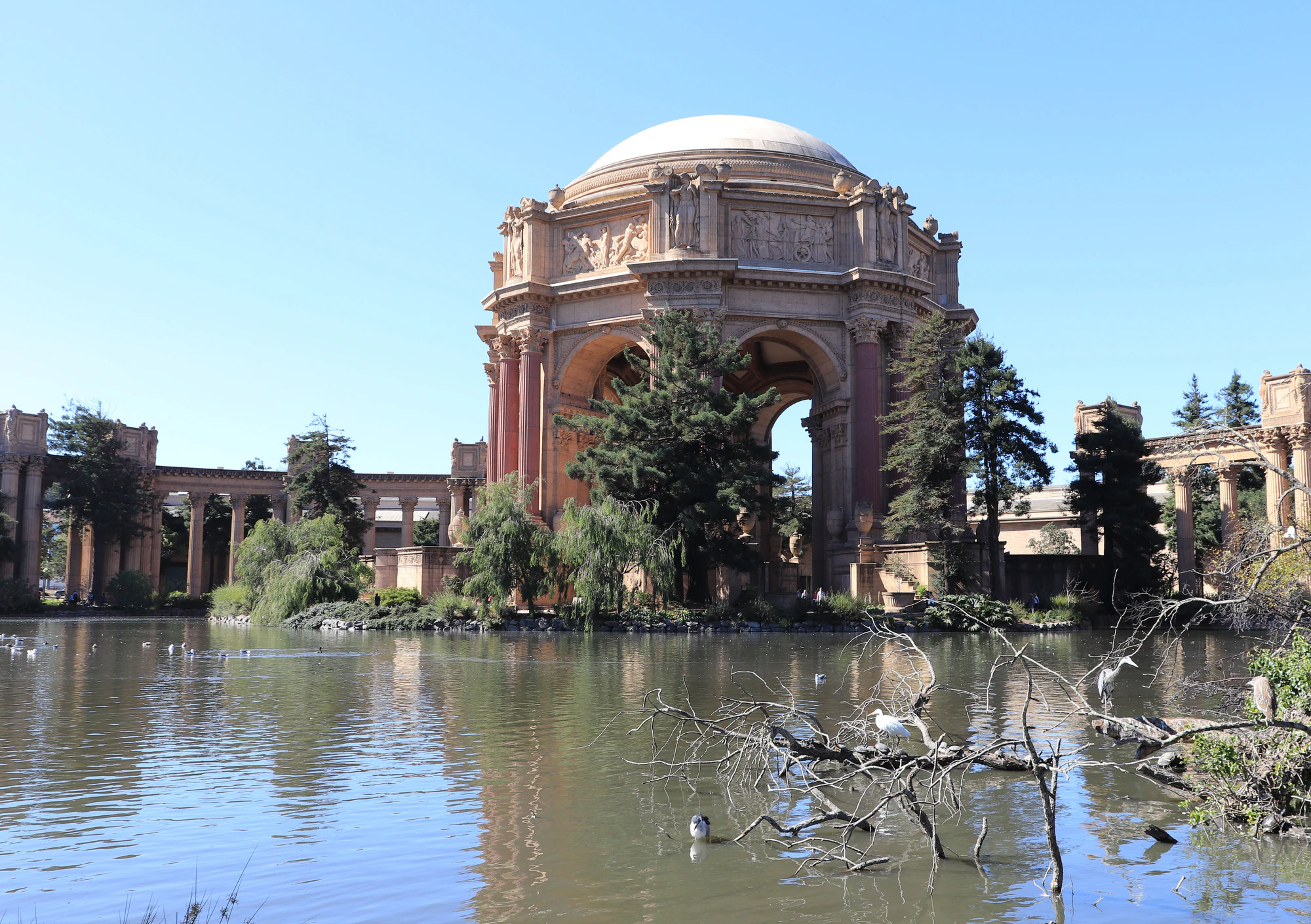 san francisco palace of fine arts 039 — Скачать