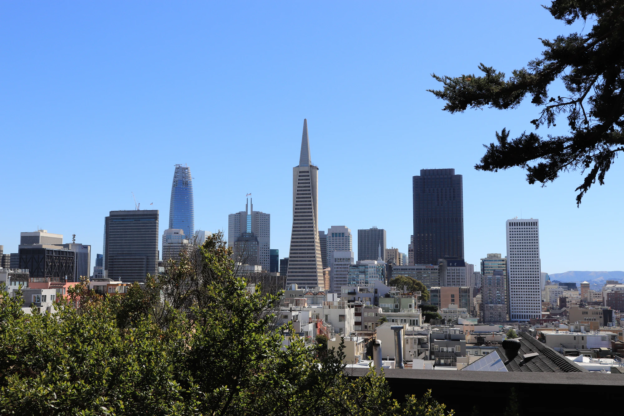 san francisco telegraph hill 002 — Descargar