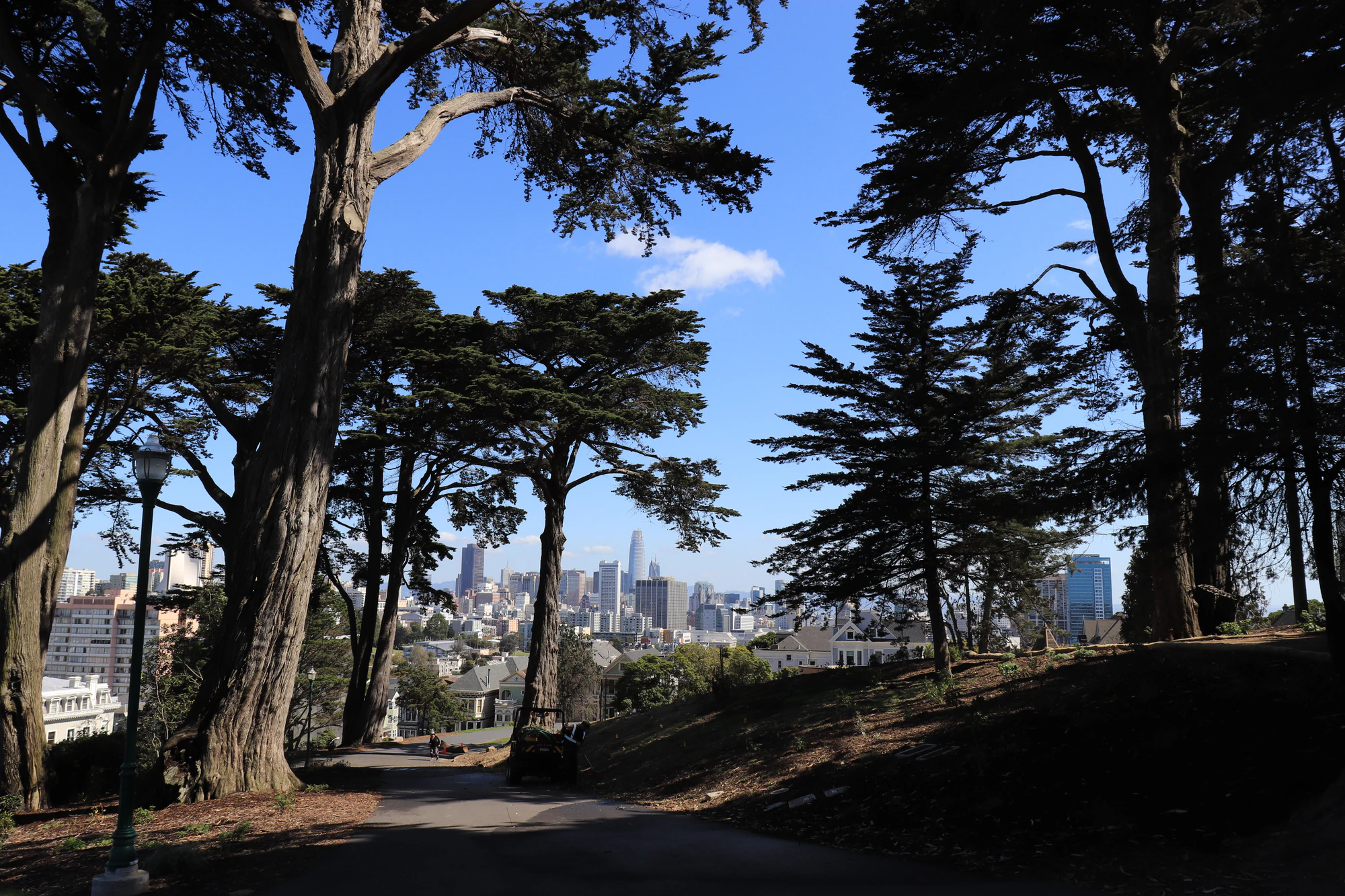 san francisco union square to alamo square 049 — Скачать
