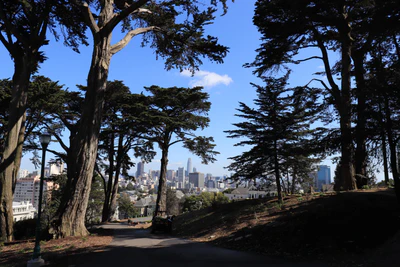 san francisco union square to alamo square 049 — Скачать