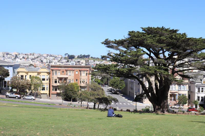 san francisco union square to alamo square 051 — Скачать