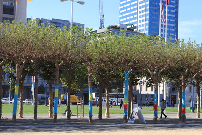 san francisco union square to city hall 059 — Descargar