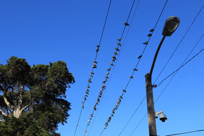 san francisco union square to haight-ashbury 047 — download