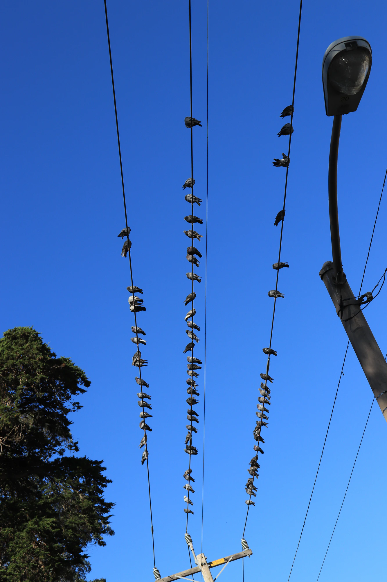 san francisco union square to haight-ashbury 048 — Descargar