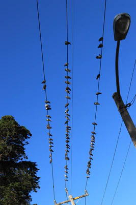 san francisco union square to haight-ashbury 048 — download