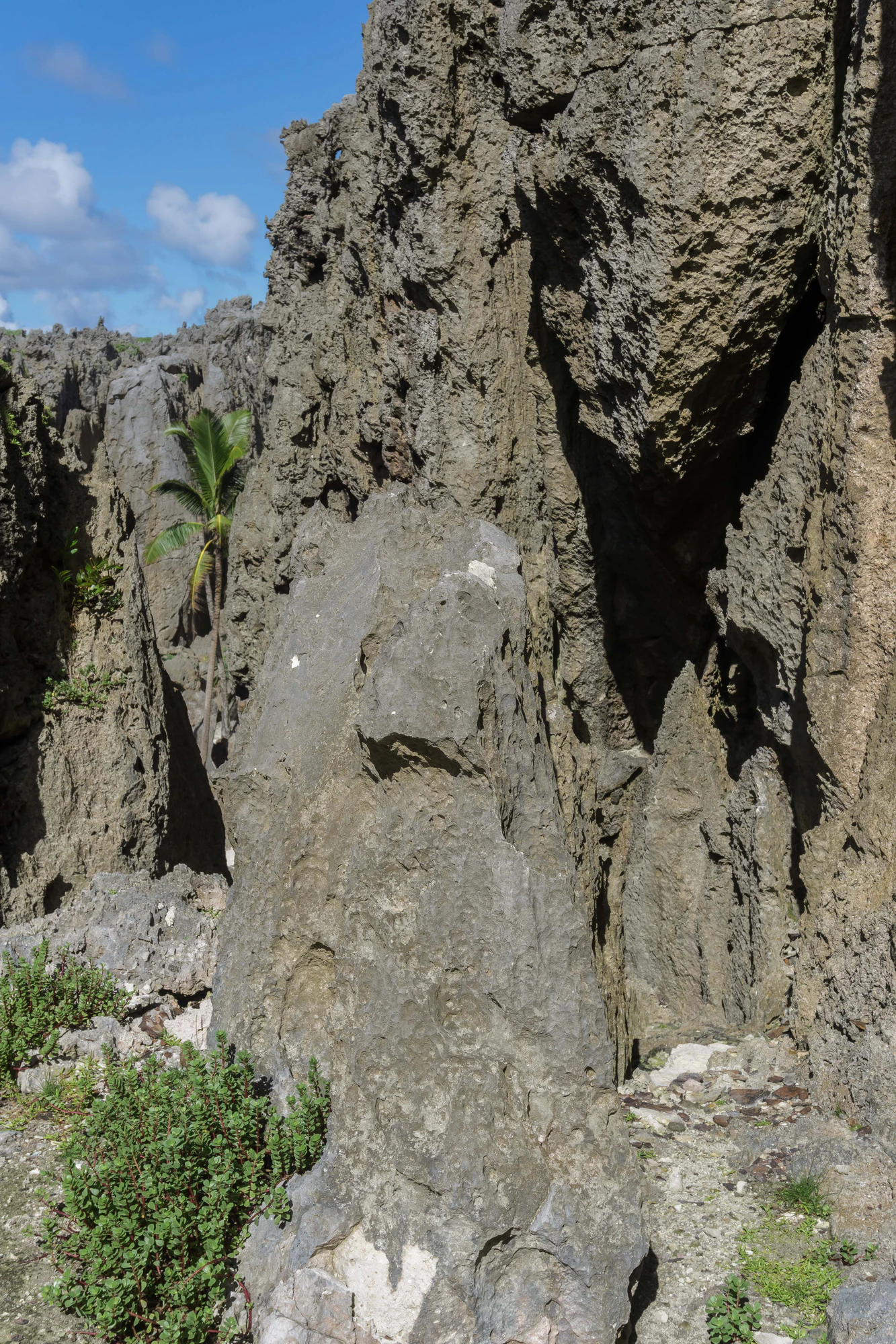 togo coral rock chasm 003 — Descargar