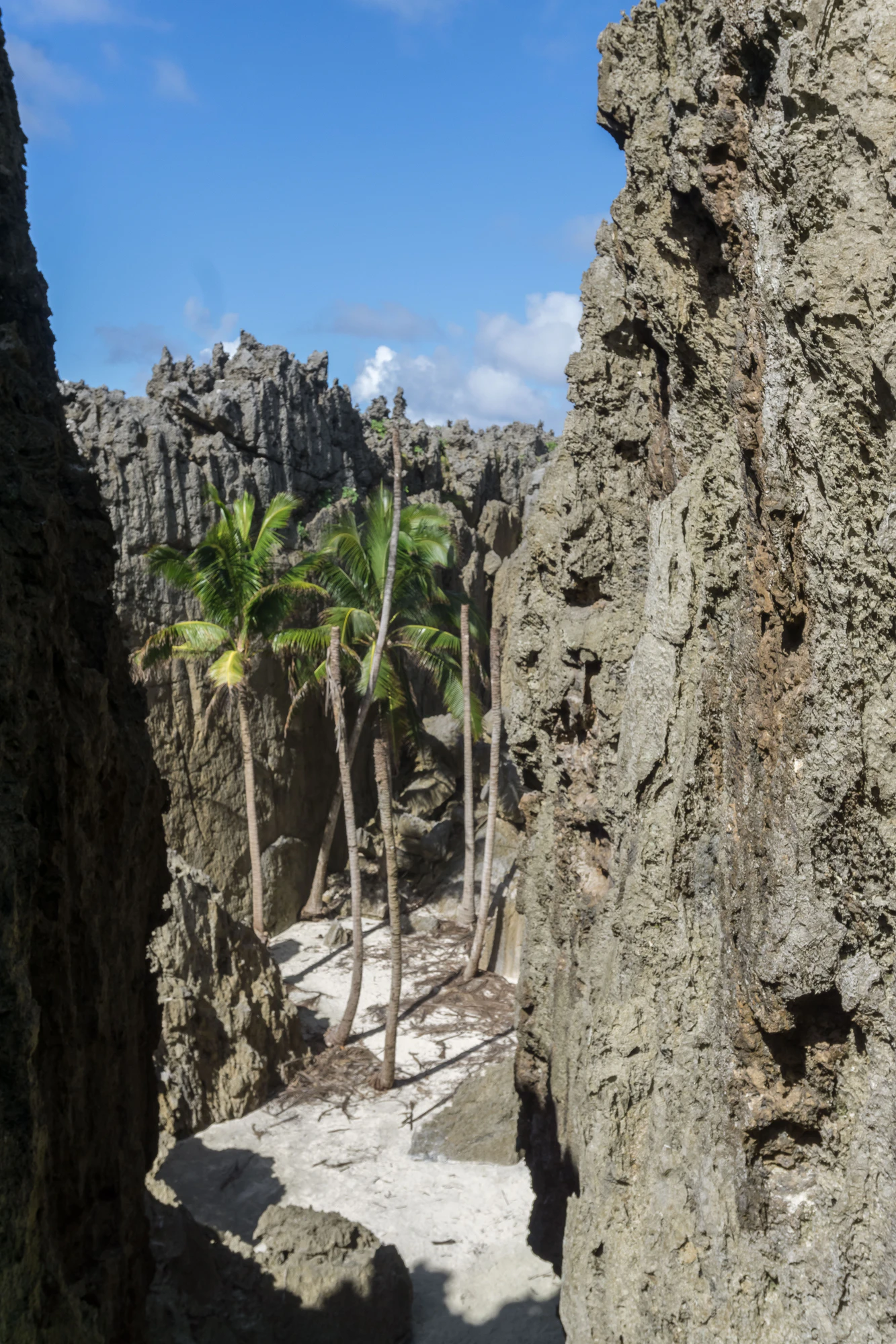 togo coral rock chasm 004 — Descargar