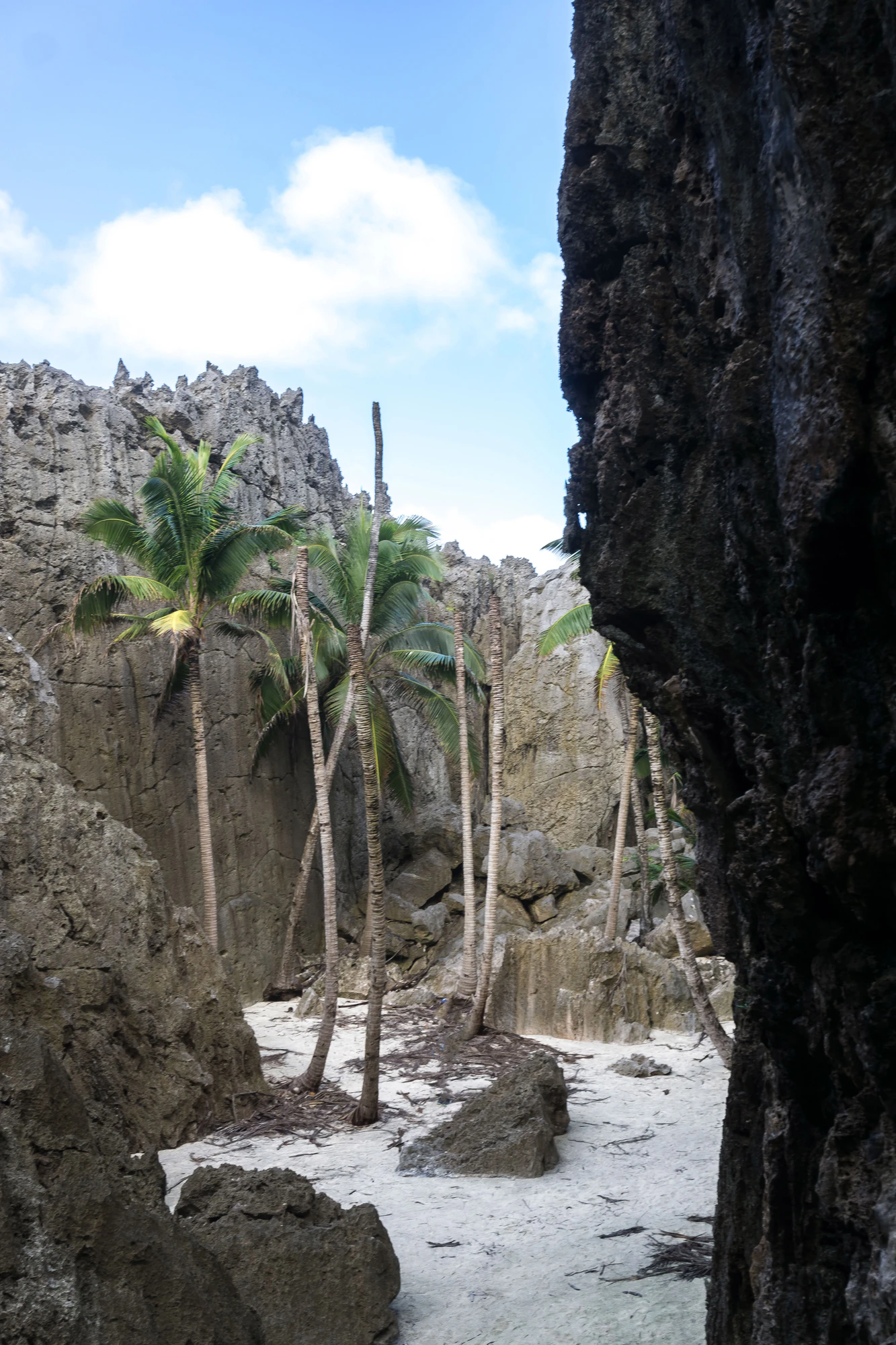 togo coral rock chasm 011 — Descargar