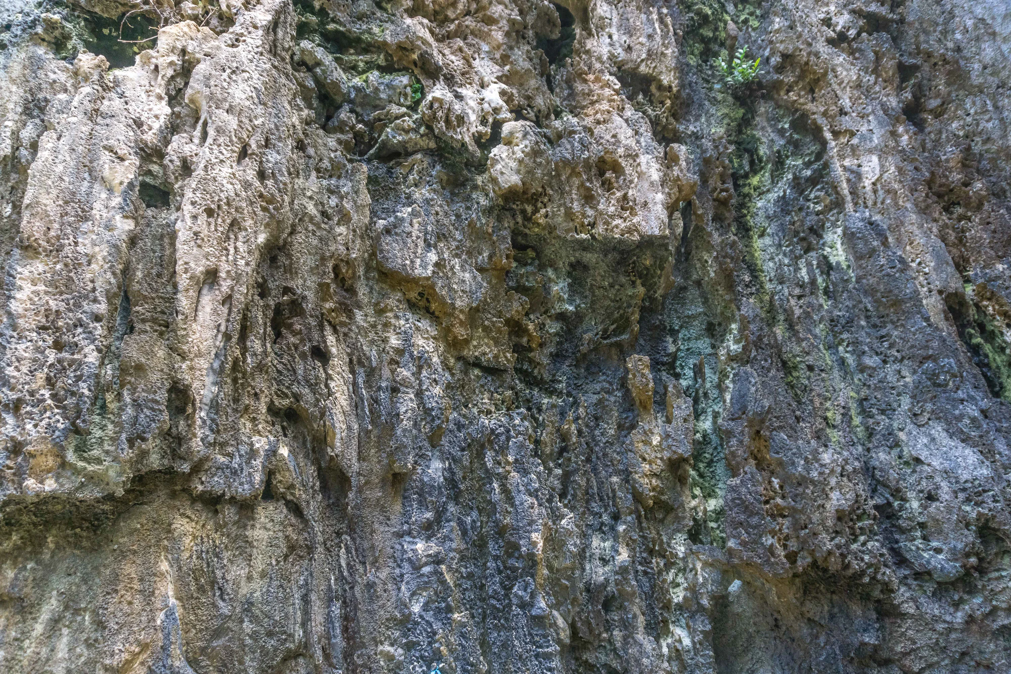 togo coral rock chasm 014 — Скачать