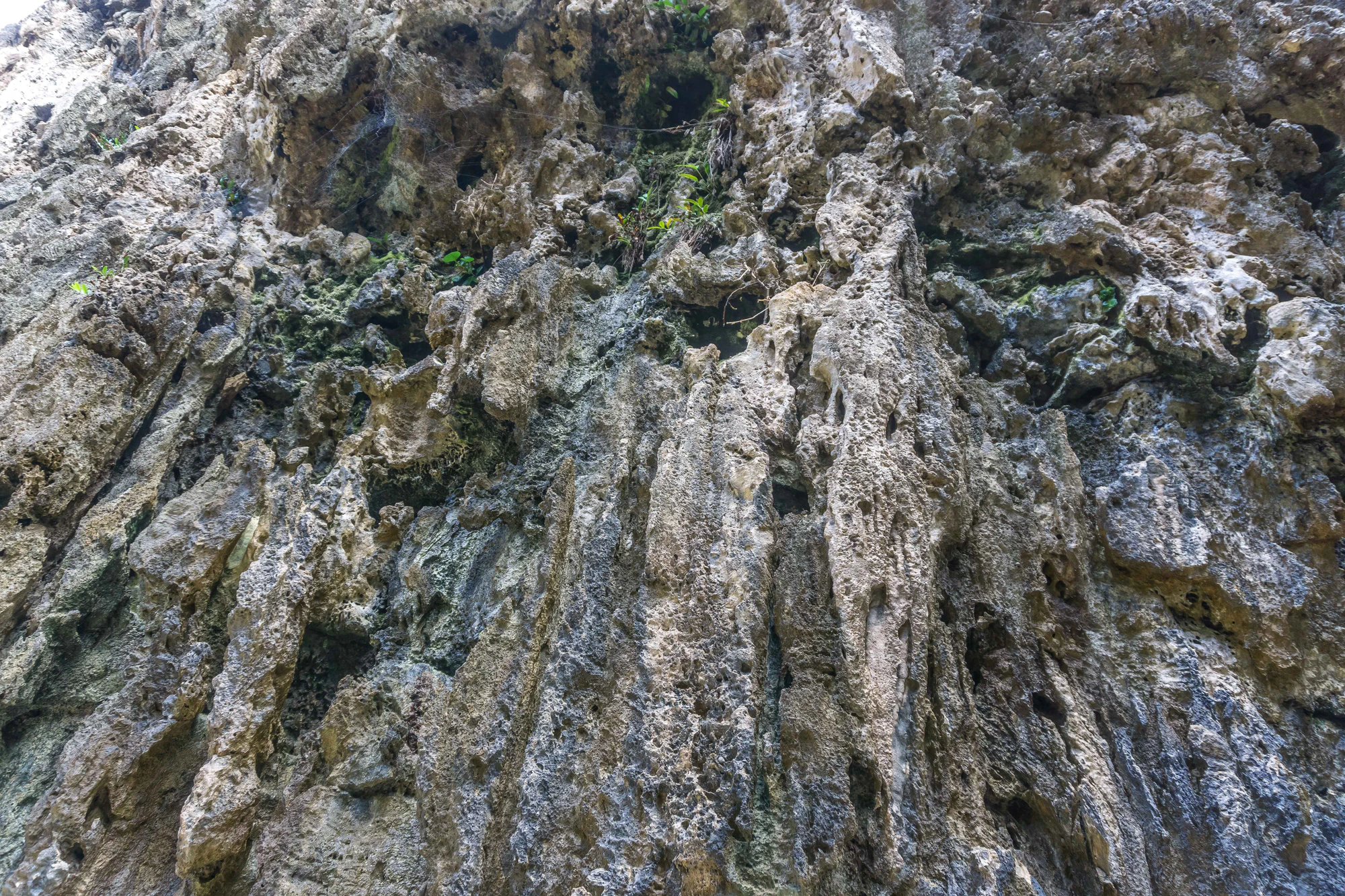 togo coral rock chasm 015 — Download