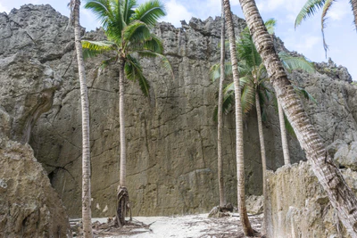 togo coral rock chasm 019 — Descargar