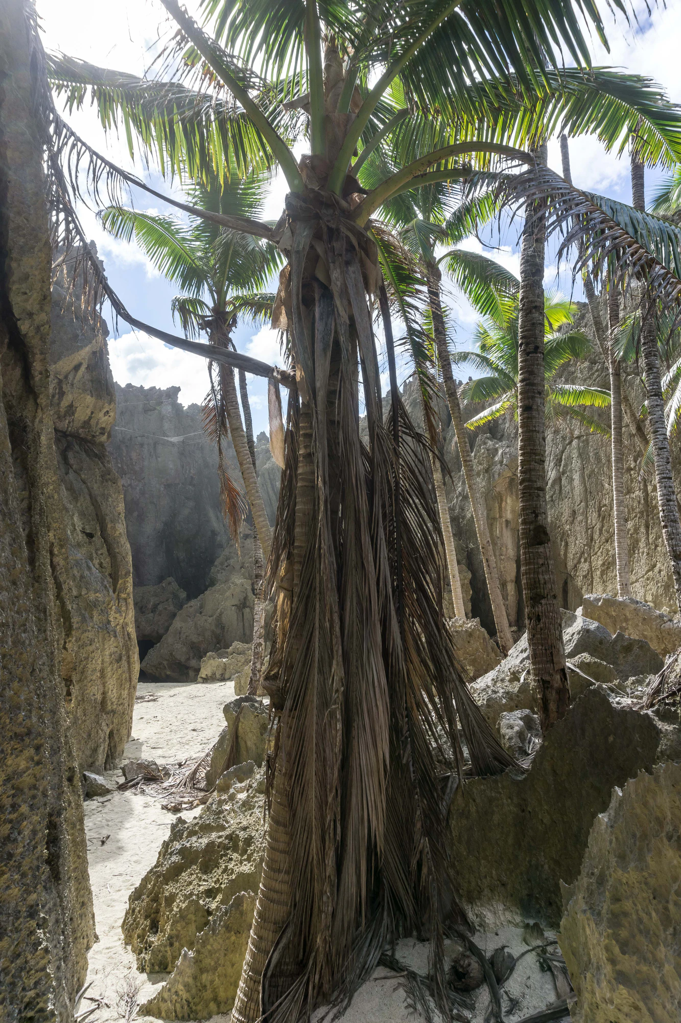 togo coral rock chasm 022 — Descargar
