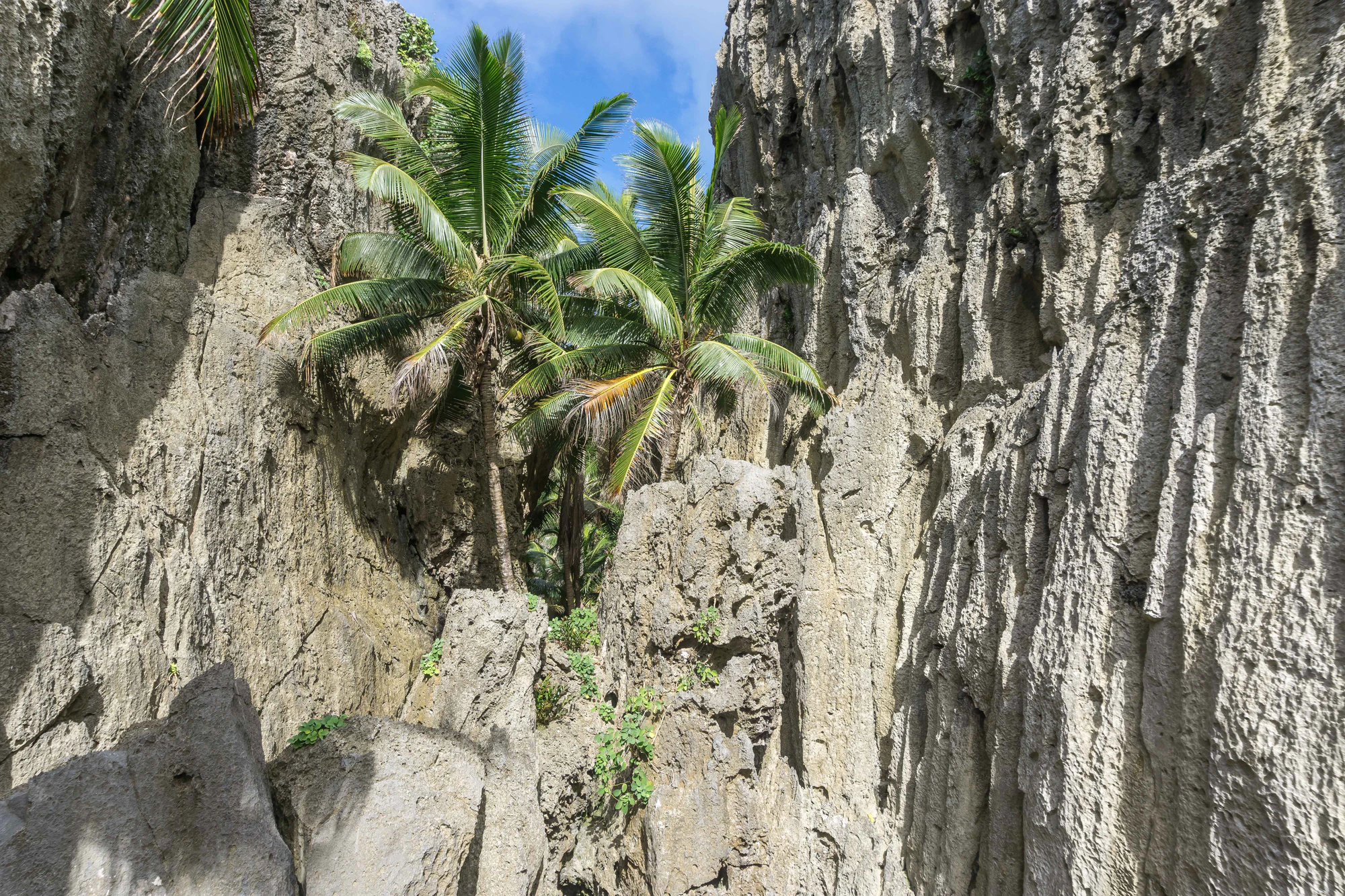 togo coral rock chasm 023 — Descargar