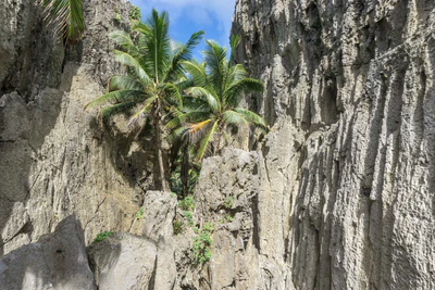 togo coral rock chasm 023 — Descargar