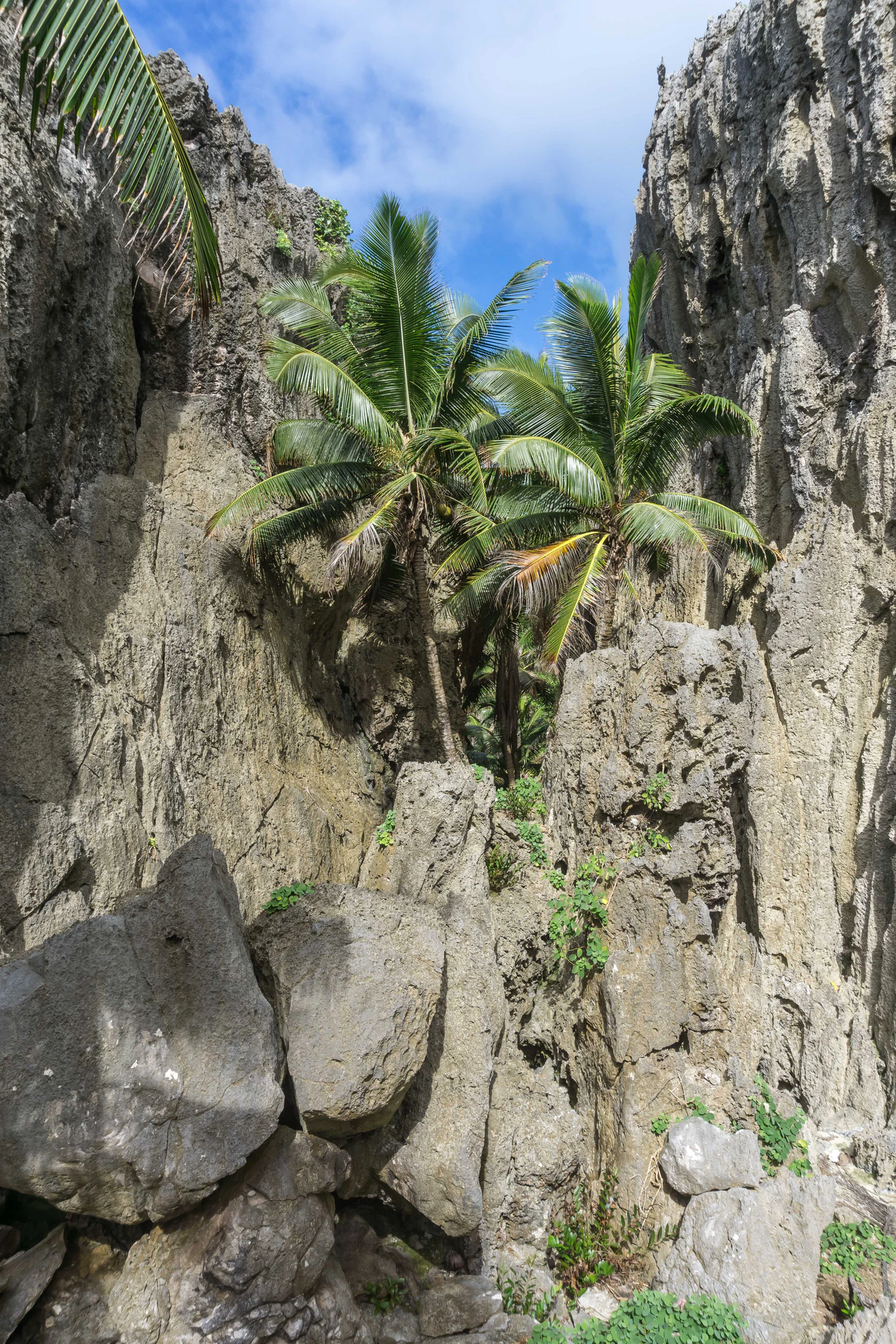 togo coral rock chasm 025 — Скачать