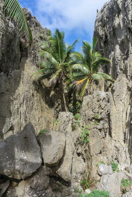 togo coral rock chasm 025 — Скачать