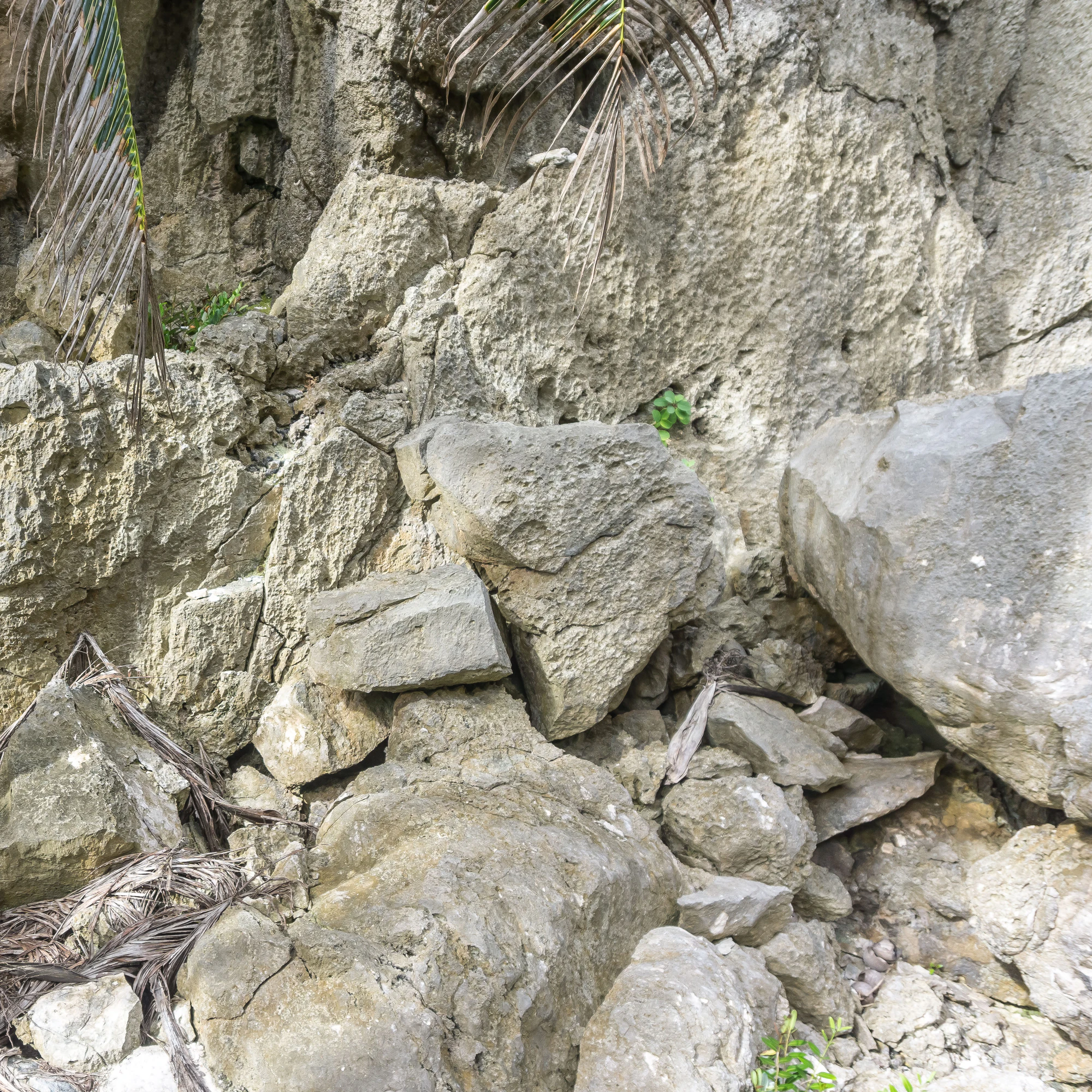 togo coral rock chasm 026 — Descargar