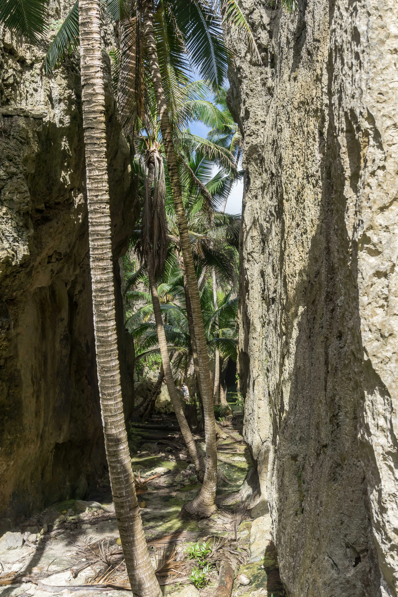 togo coral rock chasm 028 — Descargar