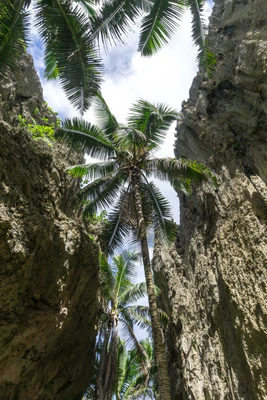 togo coral rock chasm 029 — Скачать