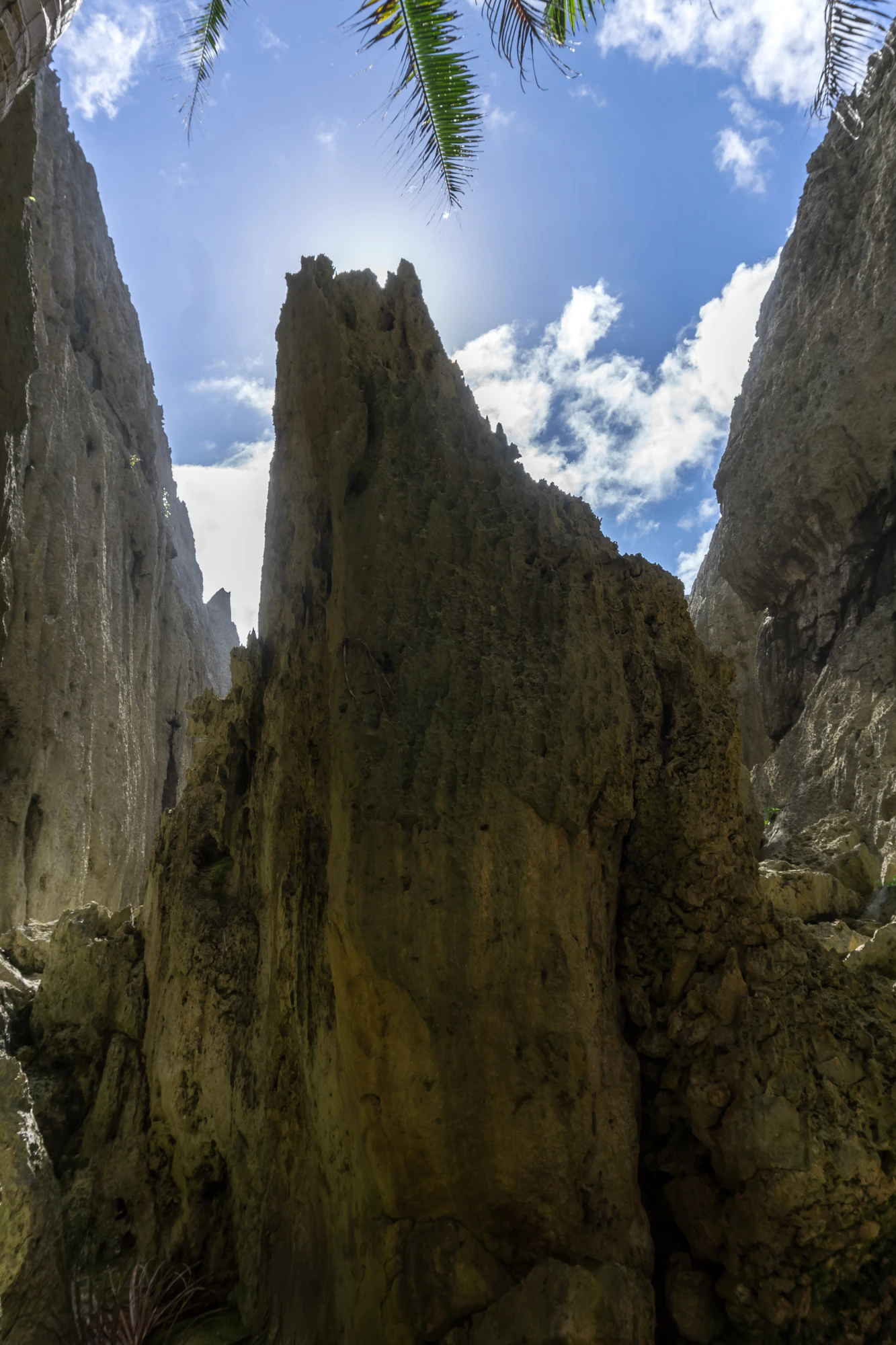 togo coral rock chasm 030 — Скачать