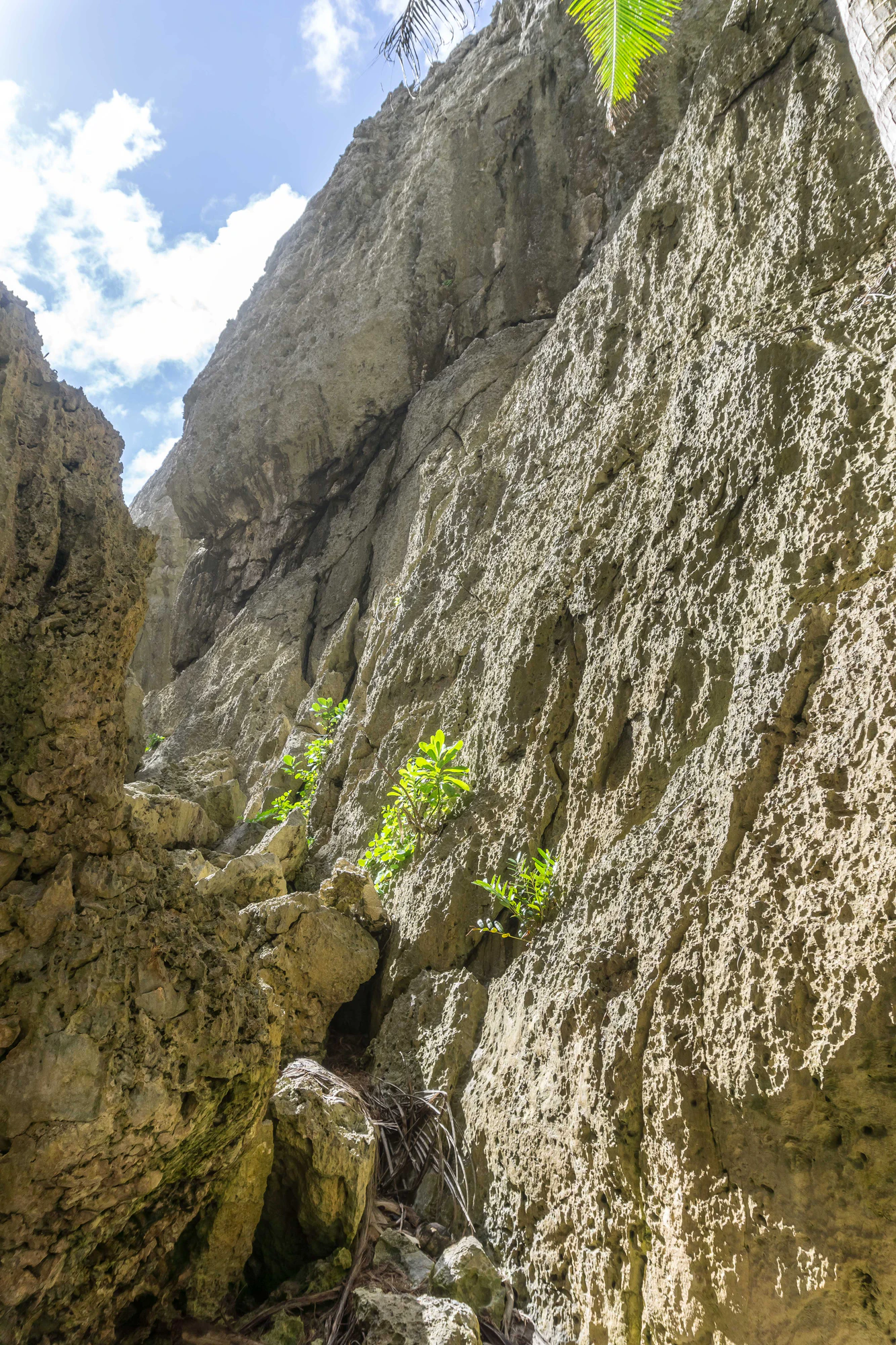 togo coral rock chasm 032 — Descargar