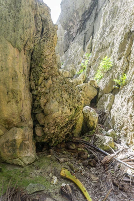 togo coral rock chasm 033 — Descargar