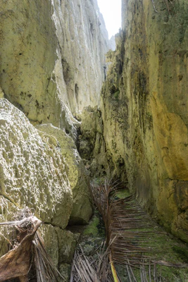 togo coral rock chasm 034 — Скачать