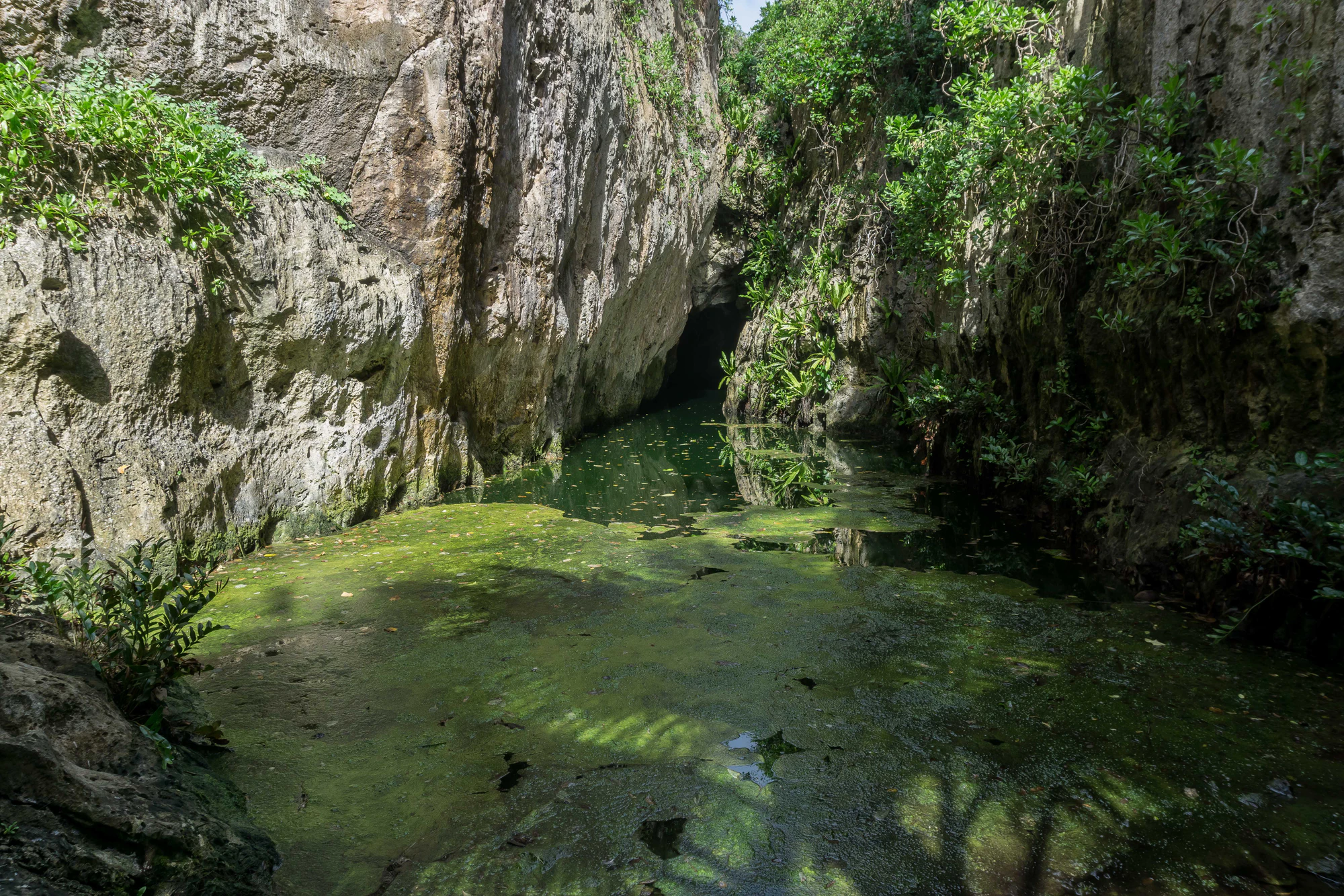 togo coral rock chasm 035 — Download
