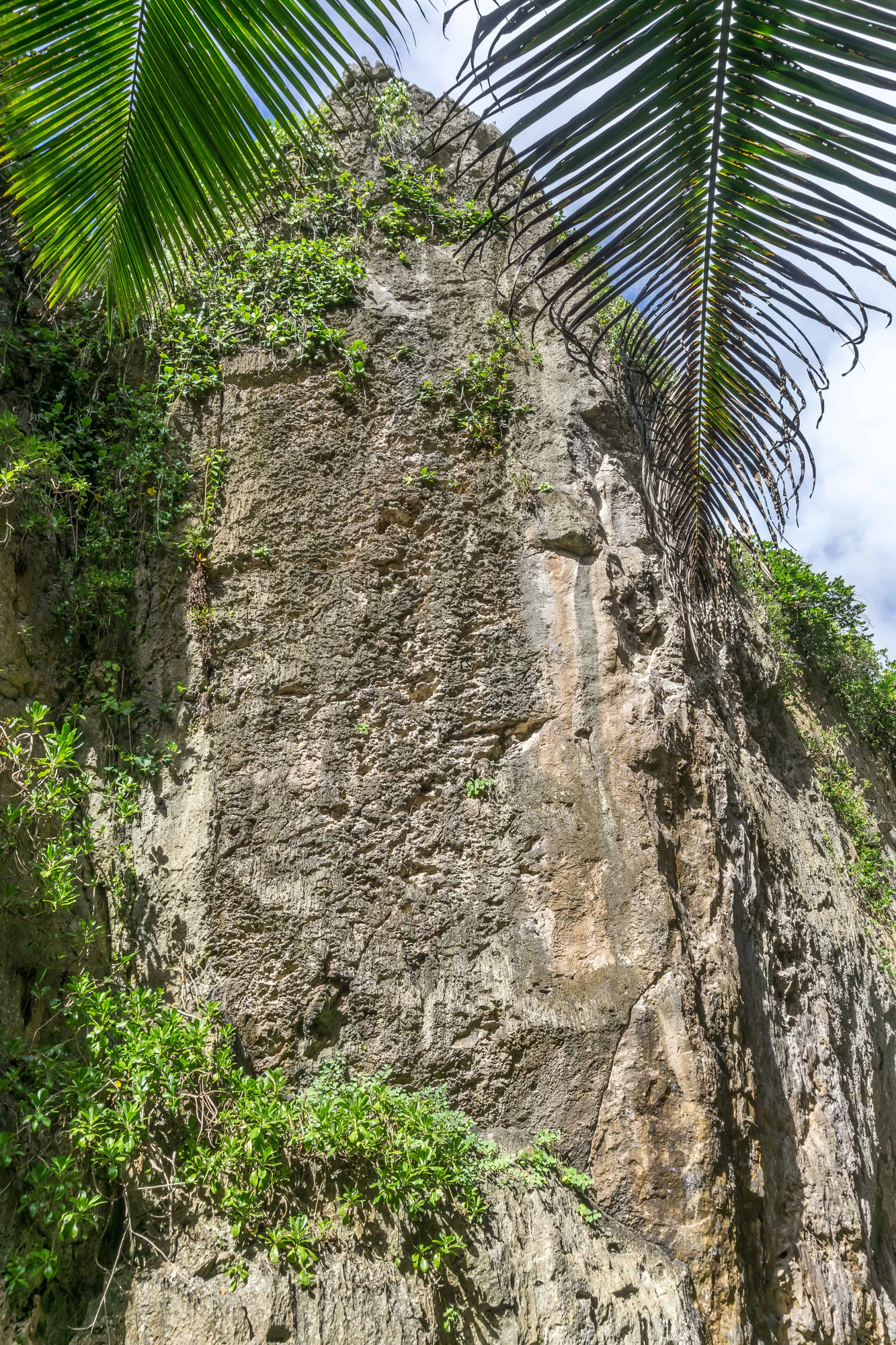 togo coral rock chasm 038 — Descargar