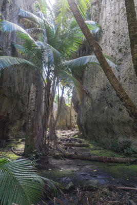 togo coral rock chasm 040 — Скачать