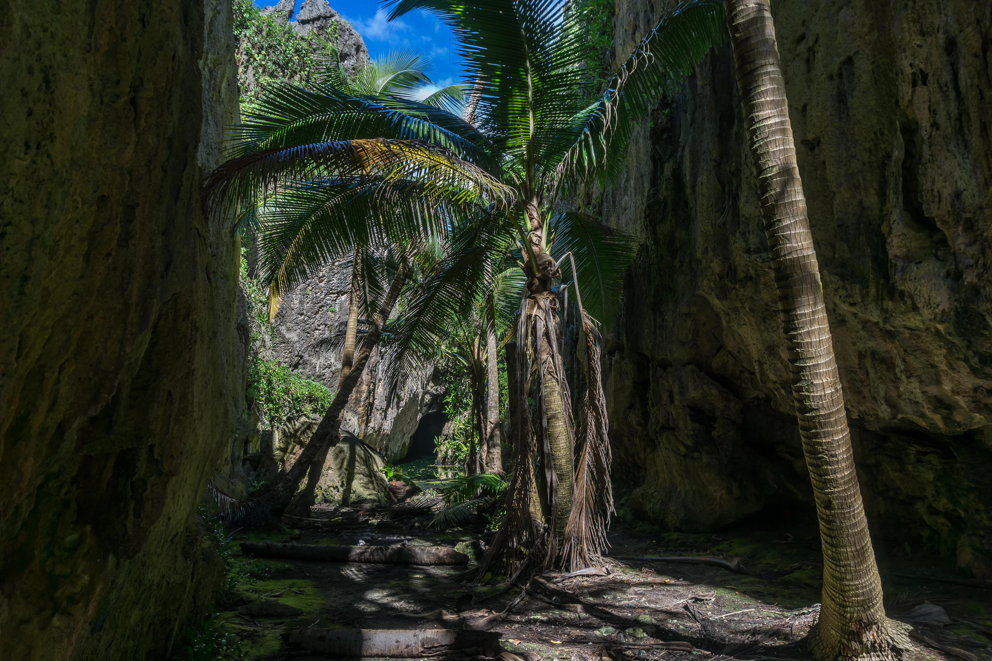 togo coral rock chasm 041 — Скачать