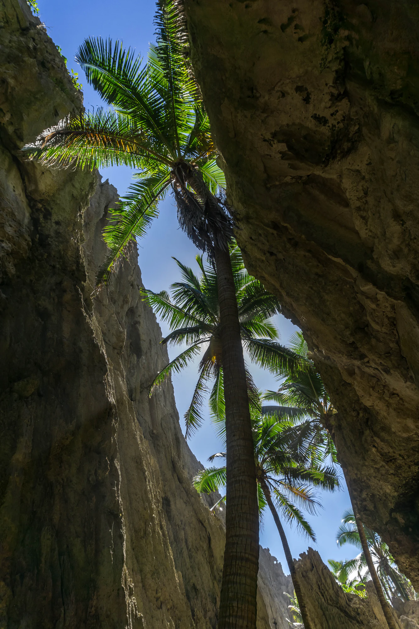 togo coral rock chasm 042 — Descargar