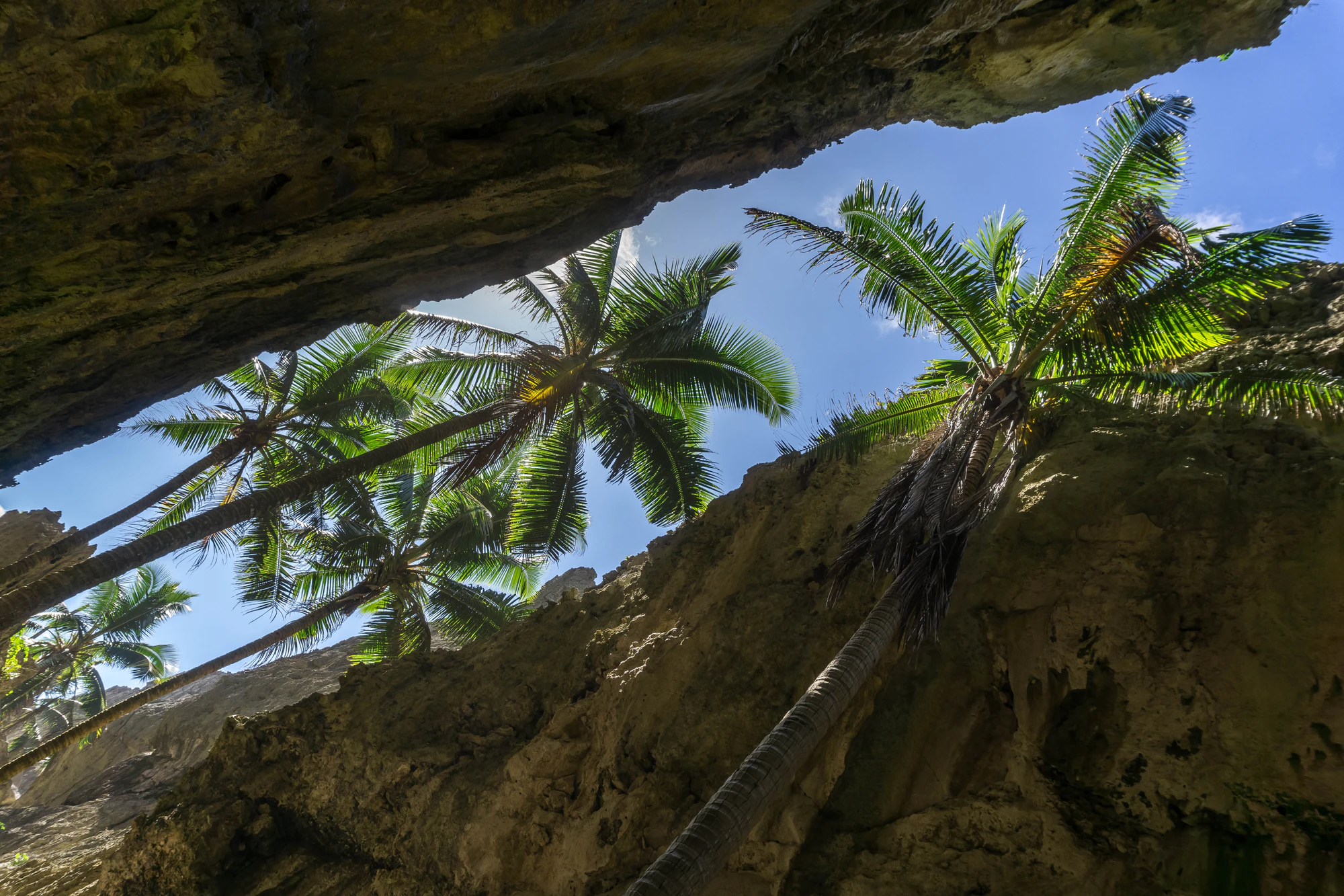 togo coral rock chasm 043 — Download