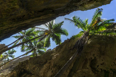 togo coral rock chasm 043 — Download