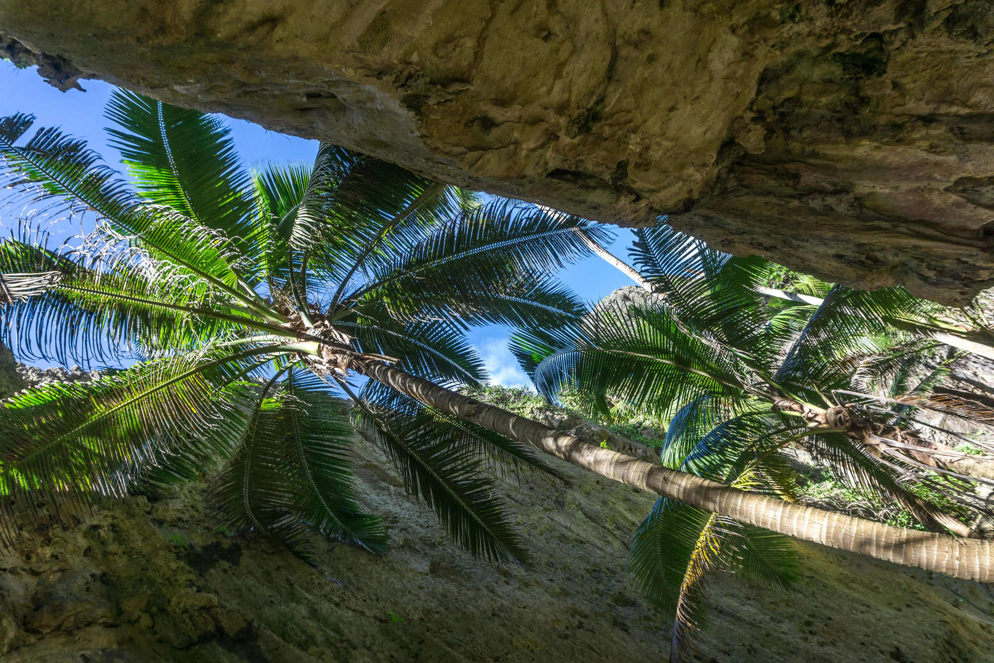 togo coral rock chasm 044 — Скачать
