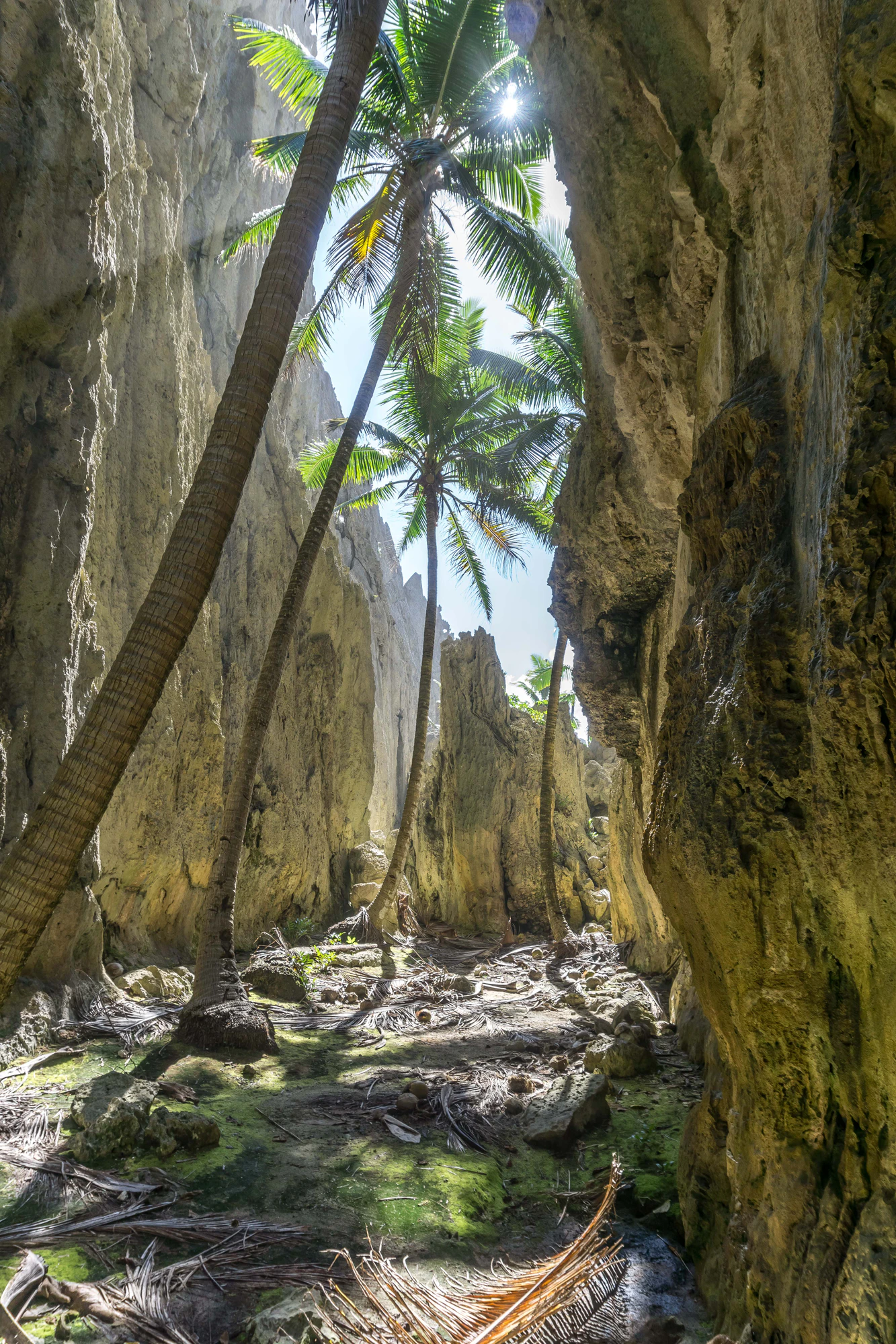 togo coral rock chasm 046 — Descargar