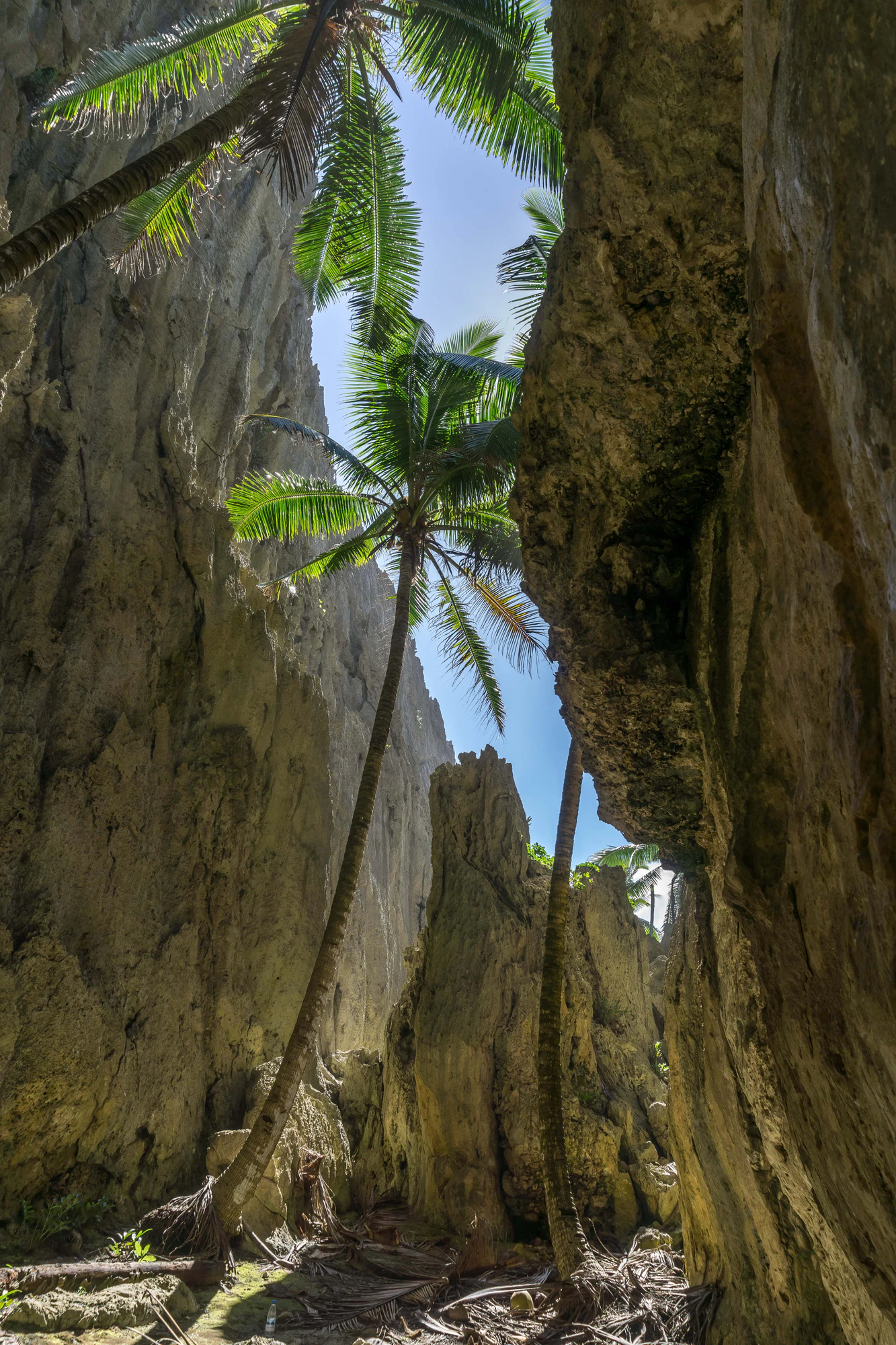 togo coral rock chasm 047 — Descargar