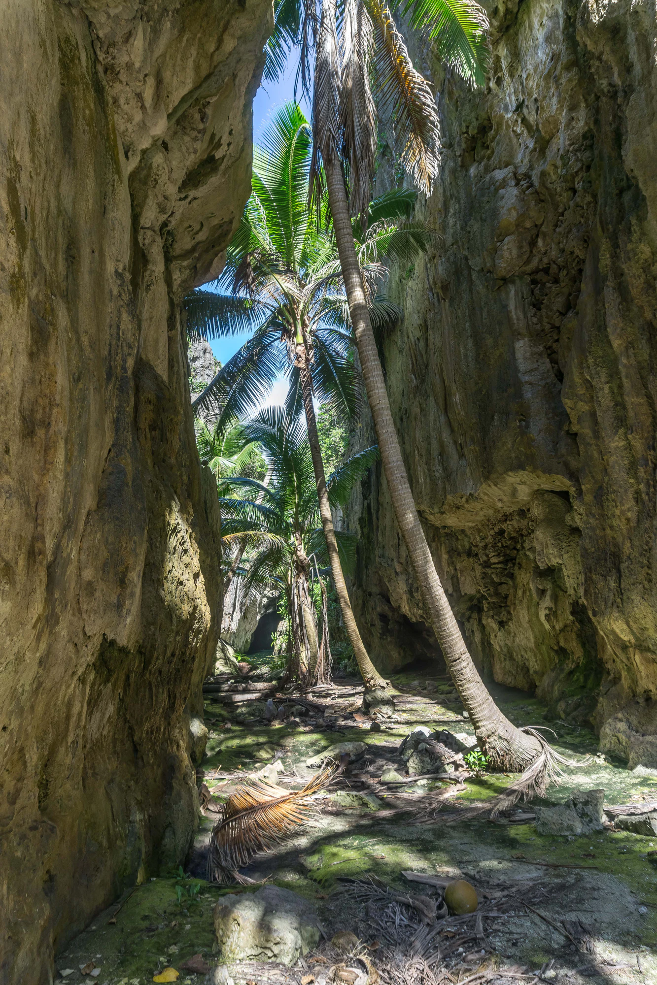 togo coral rock chasm 048 — Descargar