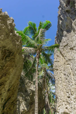 togo coral rock chasm 050 — Скачать