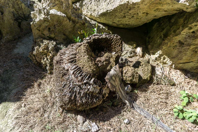 togo coral rock chasm 052 — Descargar