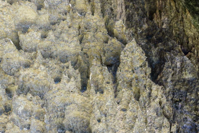 togo coral rock chasm 056 — Descargar