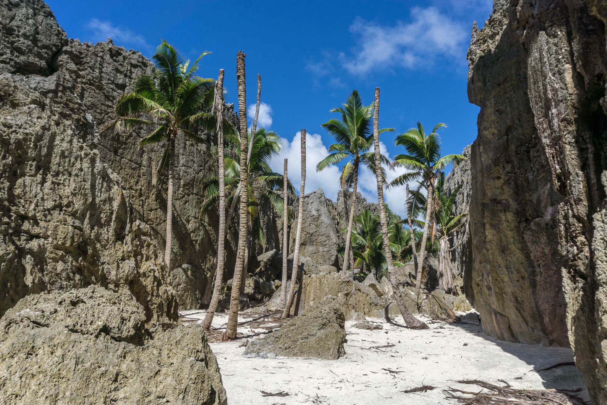 togo coral rock chasm 058 — Descargar
