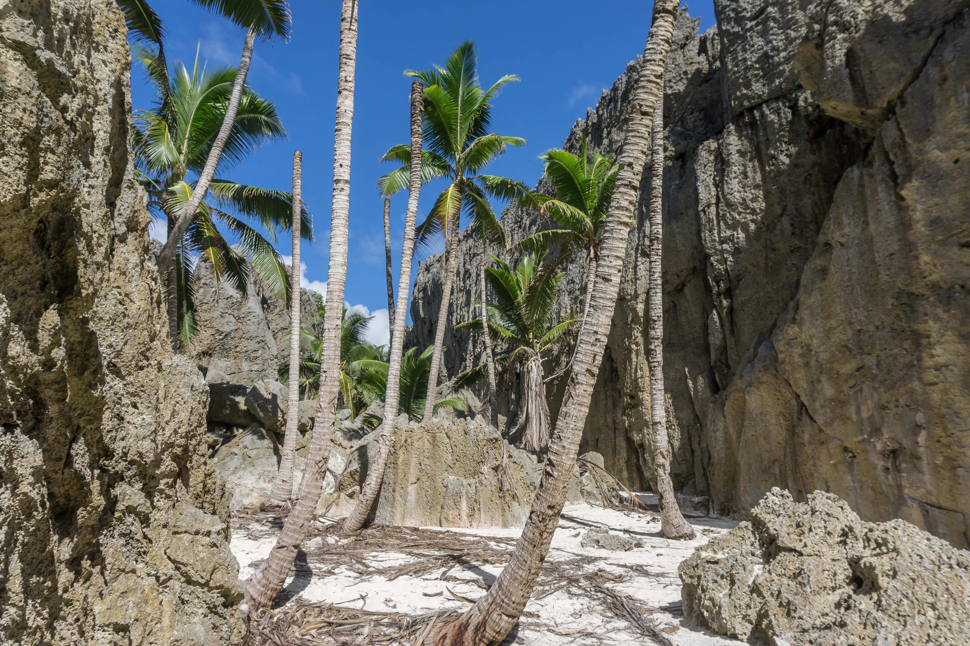 togo coral rock chasm 061 — Descargar