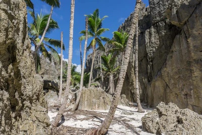 togo coral rock chasm 061 — Descargar