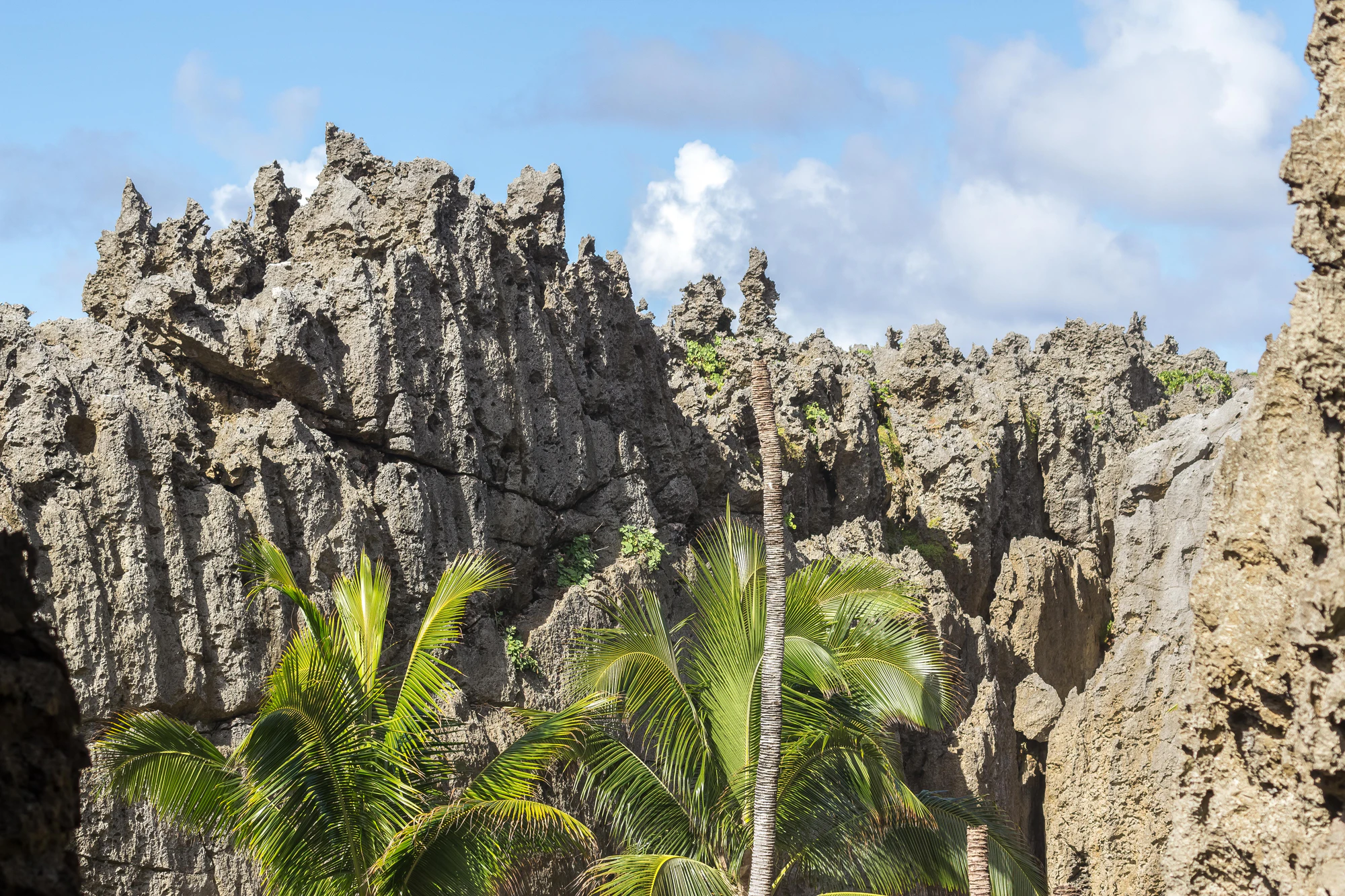 togo coral rock chasm 064 — Скачать