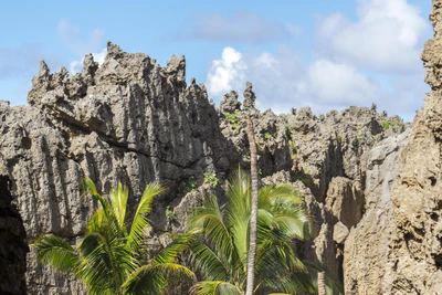 togo coral rock chasm 064 — Скачать